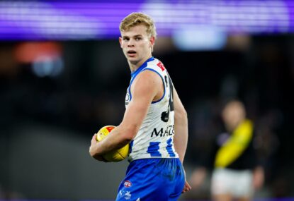 Roos make Tribunal call on son of a young's mega ban for sickening collision with Dog