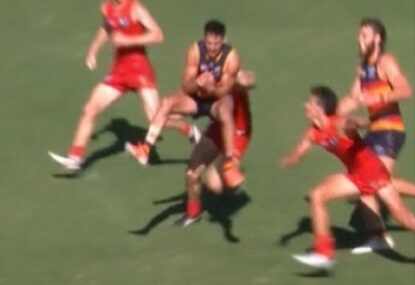 'Increasingly frustrating': Crows' terse response to AFL admission of late error in controversial loss