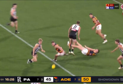 WATCH: Bizarre moment as Crow goes on report for 'kicking'