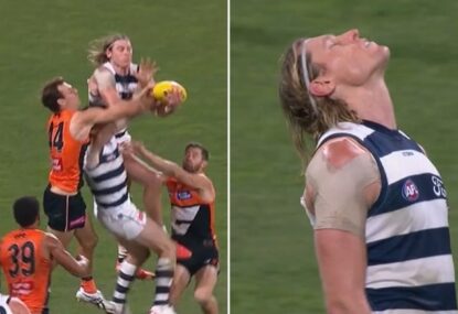 Did Mark Blicavs outmarking Patrick Dangerfield cost Geelong the game?
