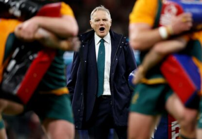 The Wallabies' coaching option no one is talking about... who's spent plenty of time with Joe Schmidt